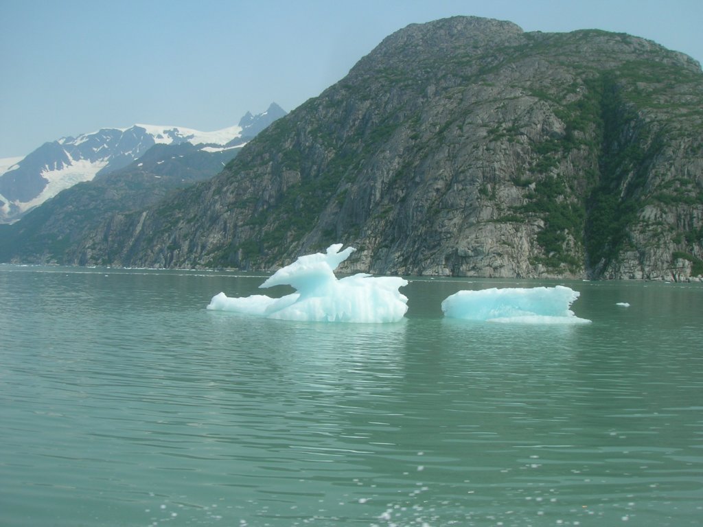 icebergs.jpg