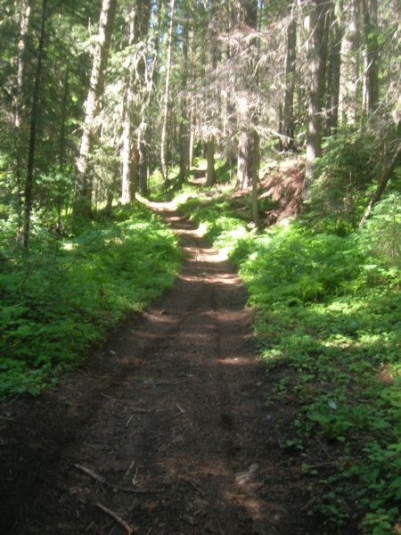 meadow_creek_trail.jpg