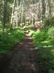 meadow_creek_trail_small.jpg